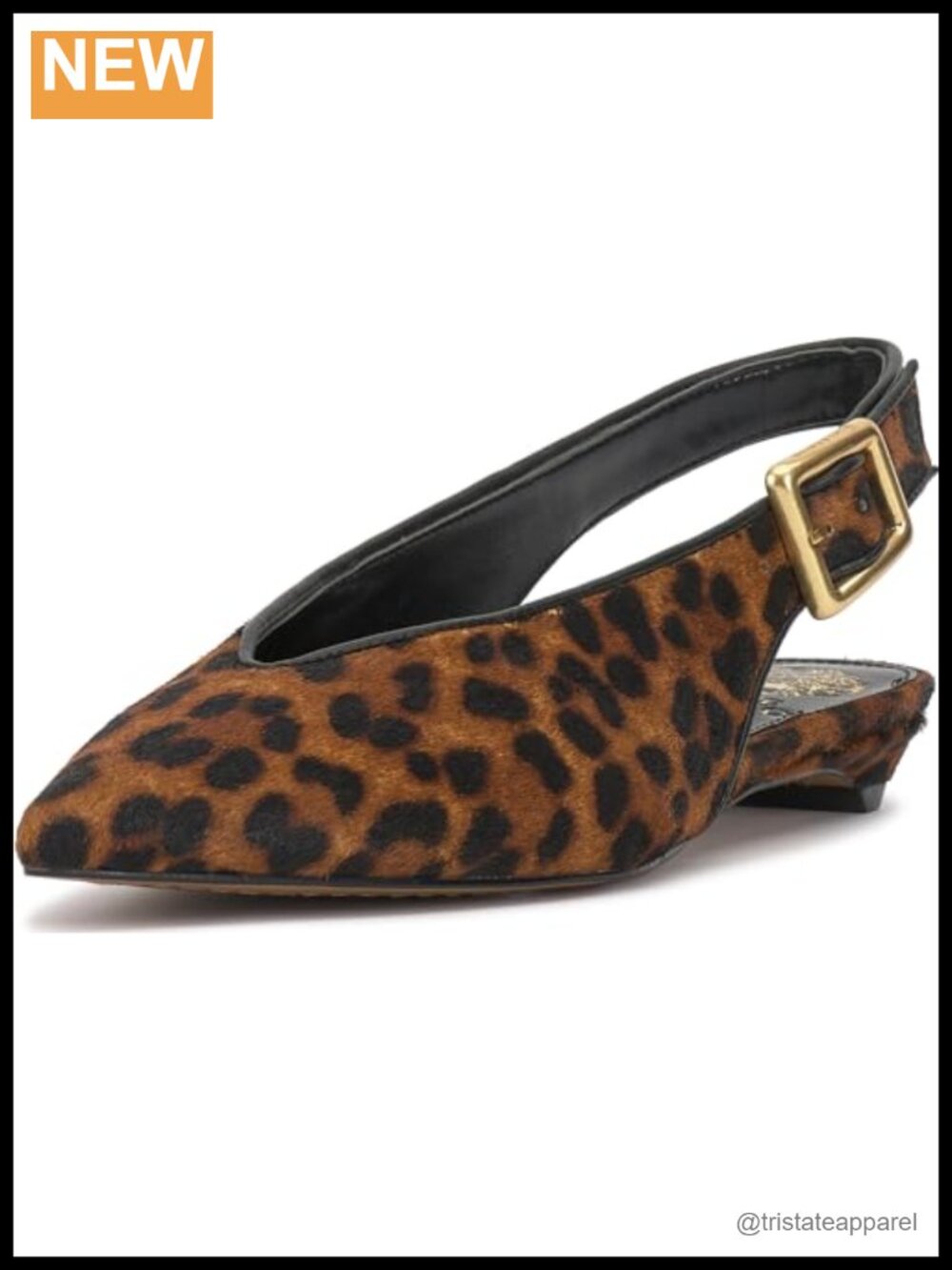 Kitten Heel Slingback Flat Mule Pointed Toe Cushioned Buckle